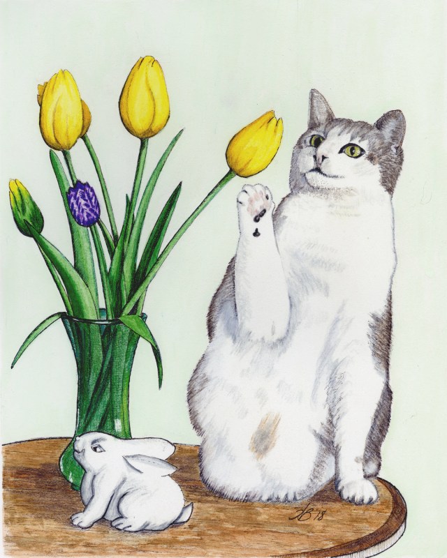 "Curious" cat playing with tulips pen and ink drawing