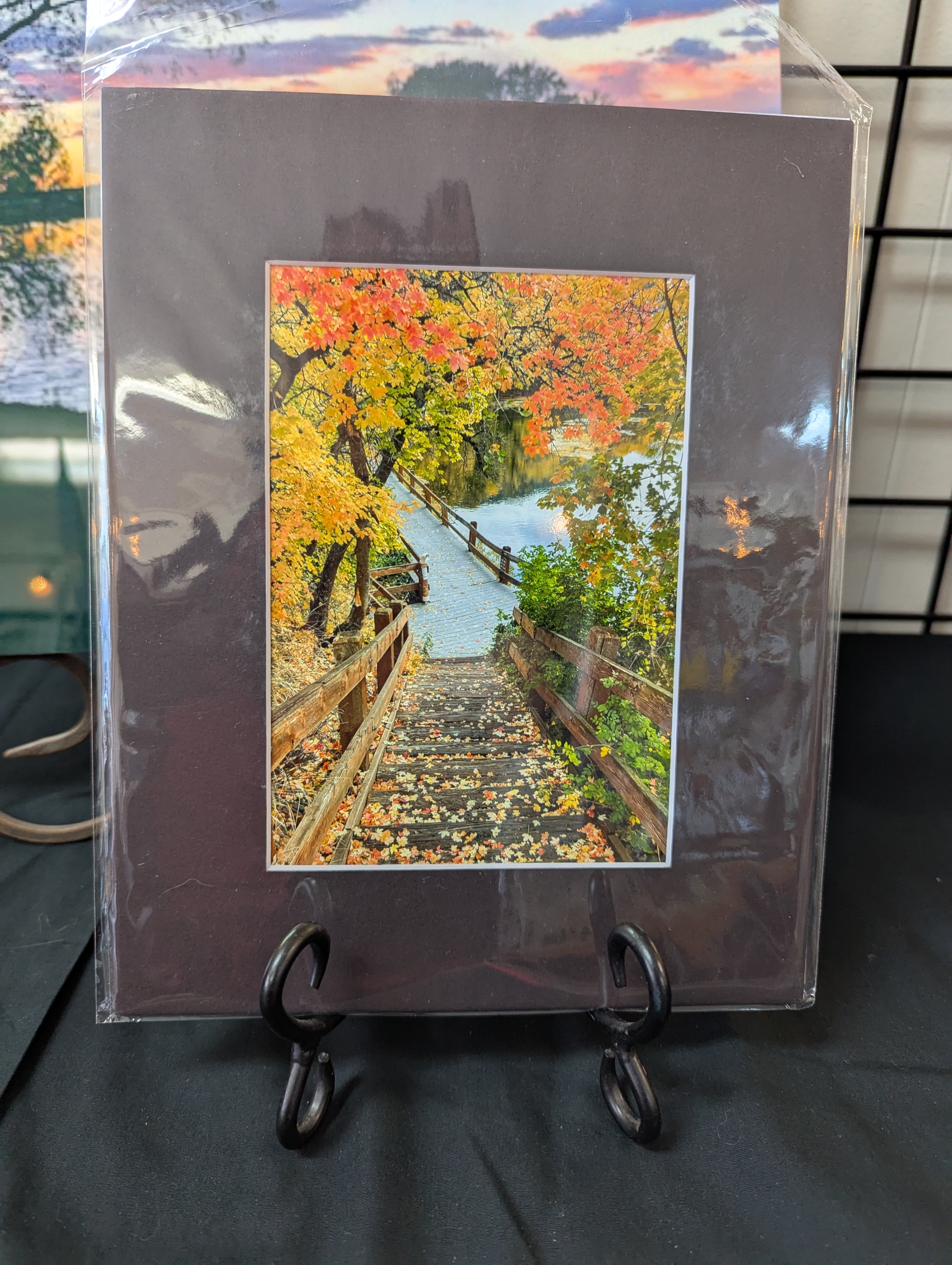 photo of a bridge in fall
