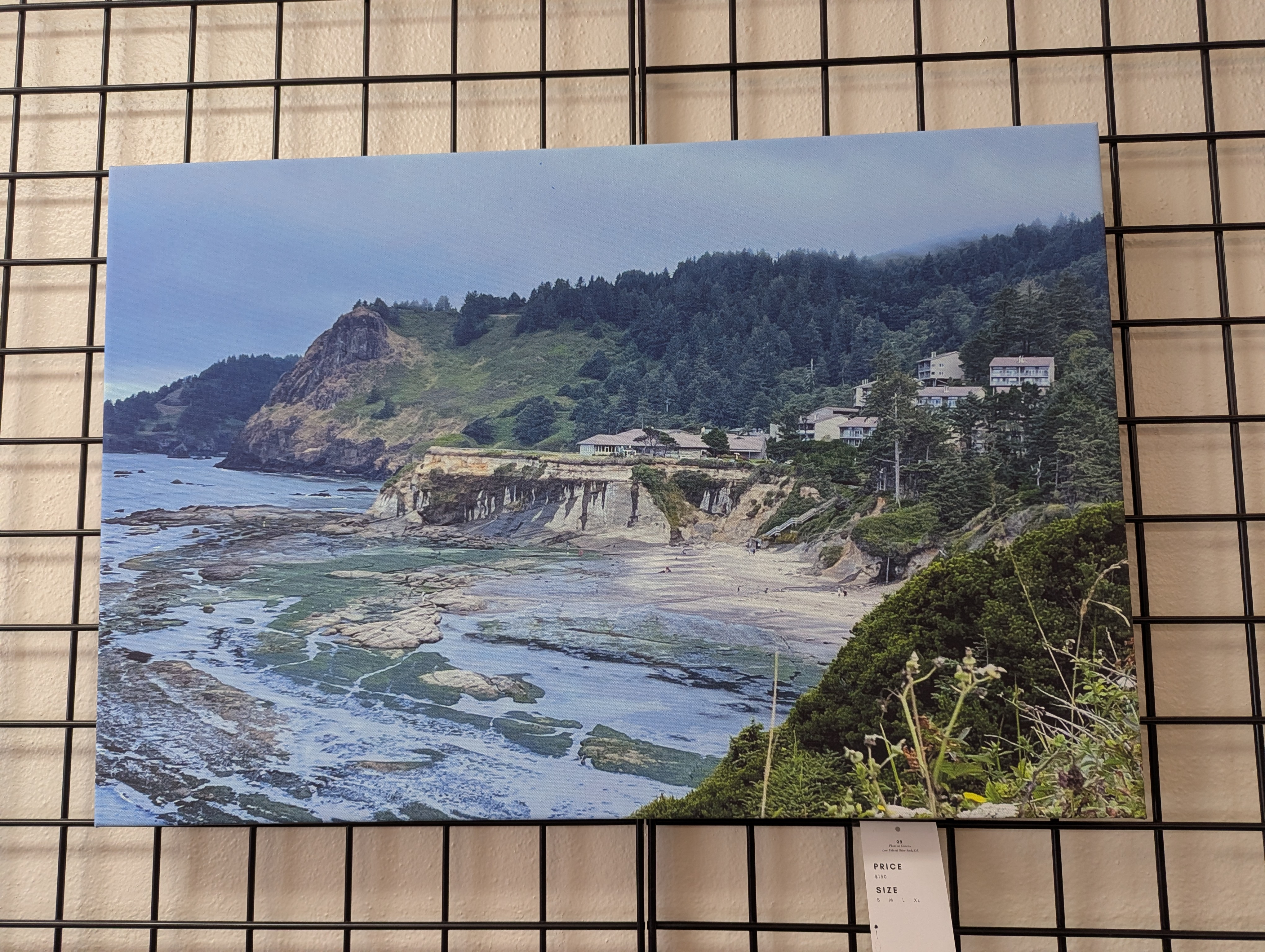 photo of a beach scene